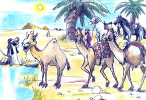 Mία φορά κι έναν καιρό, κάπου στη μακρινή Αραβία, σε ένα καραβάνι, ζούσε η Μύλα, μία μικρή καμήλα. Από την ώρα που γεννήθηκε θαύμαζε πάρα πολύ τα άλογα του καραβανιού για την ομορφιά τους, την κορμοστασιά τους...